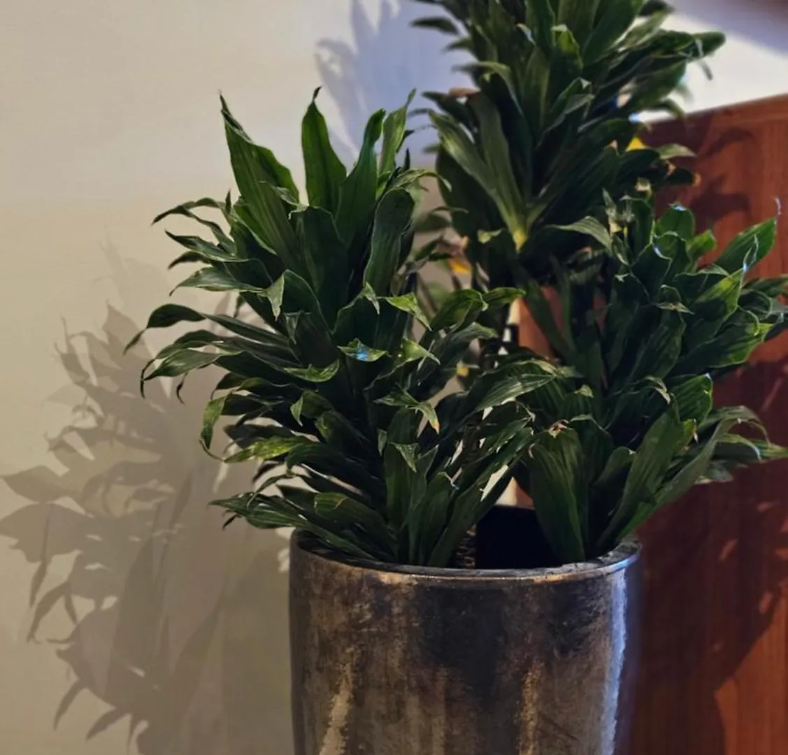 Appartement Leque Brooklin - Vista Incrivel, Ar, Wi-Fi E Charme - Perto Da Berrini E Morumbi Shopping